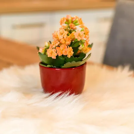 Resterhoehe * Миттерзилль