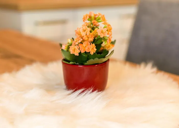 Resterhoehe * Миттерзилль